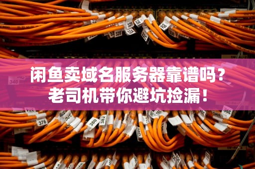 闲鱼卖域名服务器靠谱吗？老司机带你避坑捡漏！