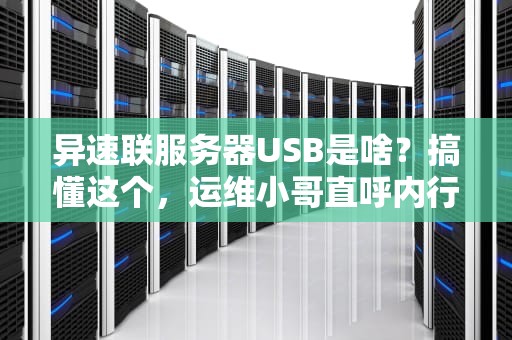 异速联服务器USB是啥？搞懂这个，运维小哥直呼内行！