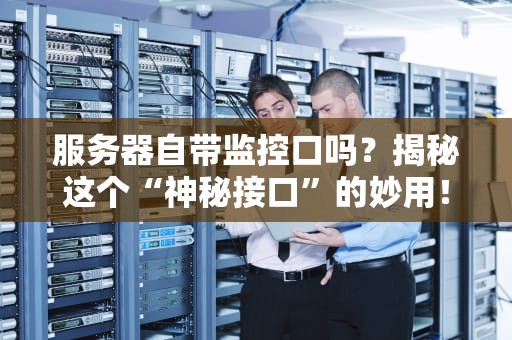 服务器自带监控口吗？揭秘这个“神秘接口”的妙用！
