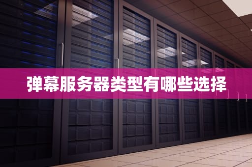 弹幕服务器类型有哪些选择