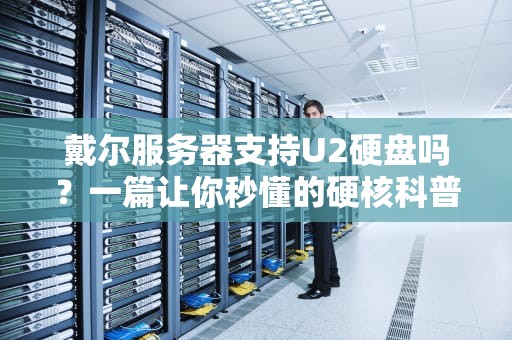 戴尔服务器支持U2硬盘吗？一篇让你秒懂的硬核科普+避坑指南！