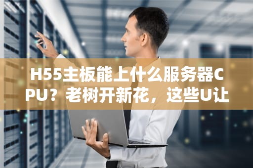 H55主板能上什么服务器CPU？老树开新花，这些U让你直呼真香！