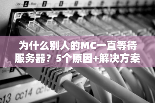 为什么别人的MC一直等待服务器？5个原因+解决方案让你告别卡顿！