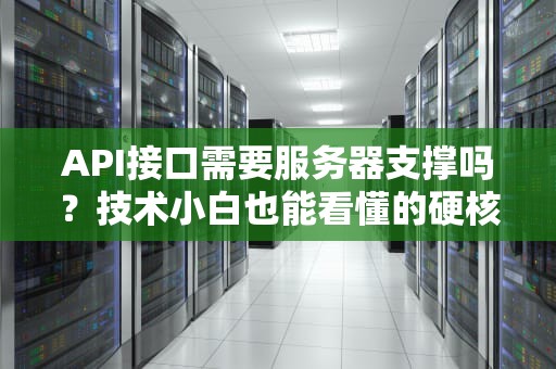 API接口需要服务器支撑吗？技术小白也能看懂的硬核科普！