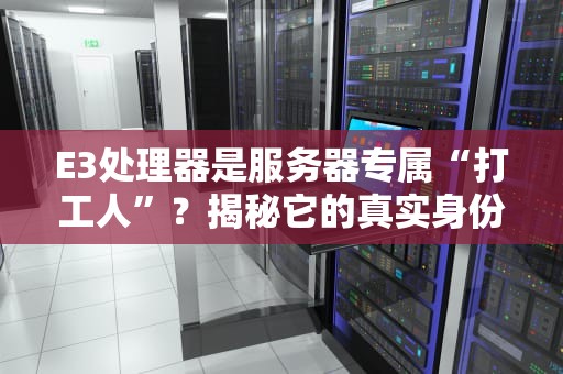 E3处理器是服务器专属“打工人”？揭秘它的真实身份与职场生涯！