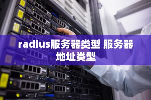 radius服务器类型 服务器地址类型