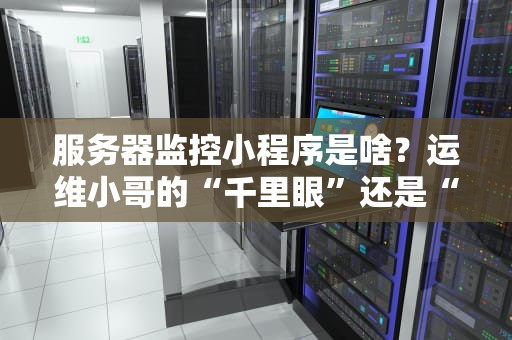 服务器监控小程序是啥？运维小哥的“千里眼”还是“血压计”？