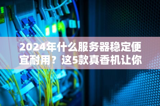 2024年什么服务器稳定便宜耐用？这5款真香机让你省钱又省心！