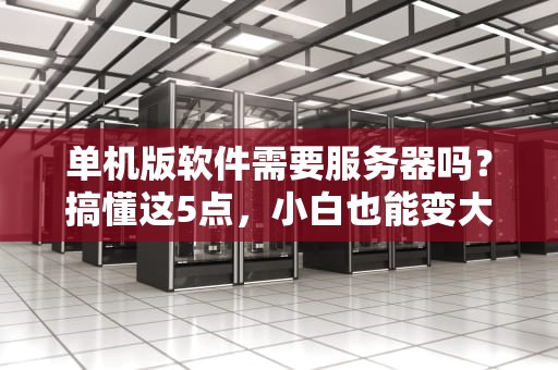 单机版软件需要服务器吗？搞懂这5点，小白也能变大神！