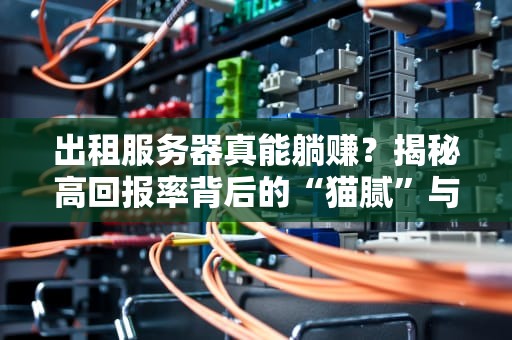 出租服务器真能躺赚？揭秘高回报率背后的“猫腻”与真相！