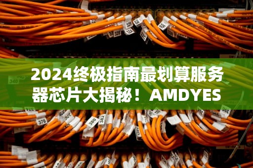 2024终极指南最划算服务器芯片大揭秘！AMDYES还是Intel真香？