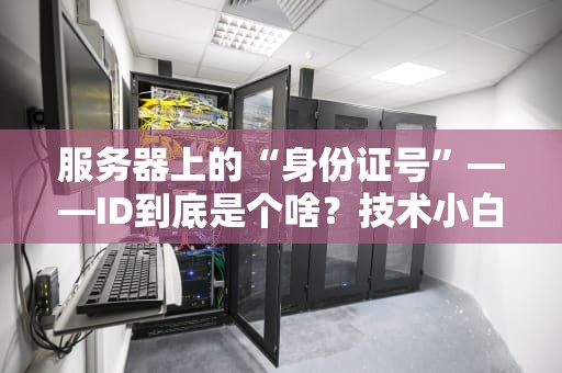 服务器上的“身份证号”——ID到底是个啥？技术小白也能秒懂！
