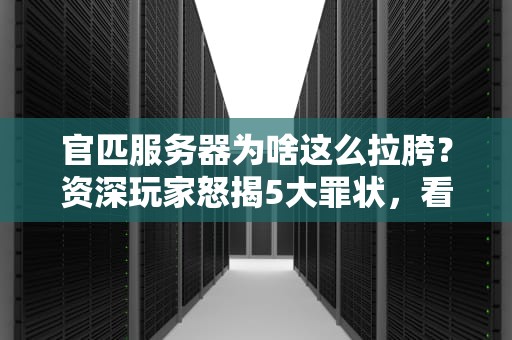 官匹服务器为啥这么拉胯？资深玩家怒揭5大罪状，看完笑出猪叫！
