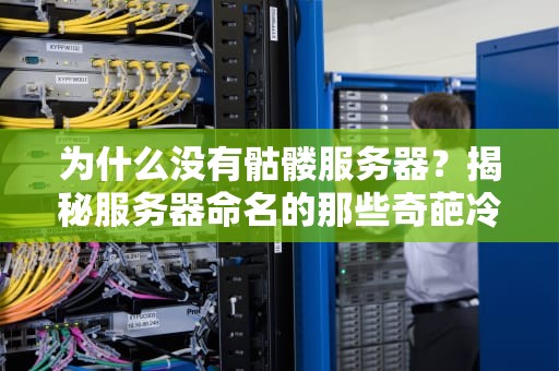 为什么没有骷髅服务器？揭秘服务器命名的那些奇葩冷知识！