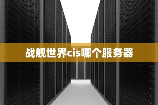 战舰世界cis哪个服务器