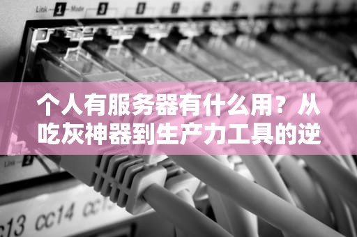 个人有服务器有什么用？从吃灰神器到生产力工具的逆袭之路！