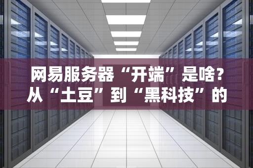 网易服务器“开端”是啥？从“土豆”到“黑科技”的逆袭之路！