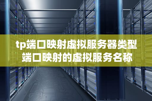 tp端口映射虚拟服务器类型 端口映射的虚拟服务名称