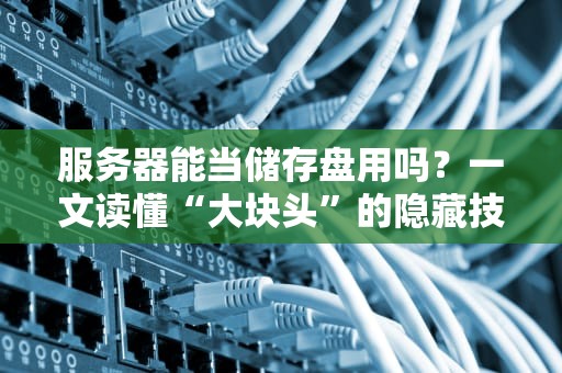 服务器能当储存盘用吗？一文读懂“大块头”的隐藏技能！