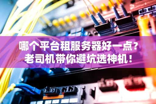 哪个平台租服务器好一点？老司机带你避坑选神机！