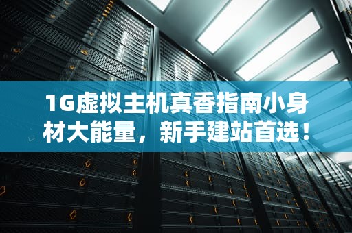 1G虚拟主机真香指南小身材大能量，新手建站首选！