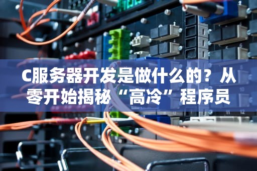 C服务器开发是做什么的？从零开始揭秘“高冷”程序员的幕后日常