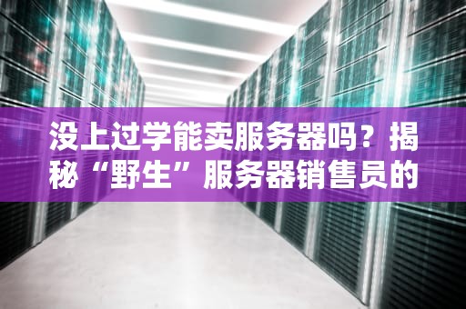没上过学能卖服务器吗？揭秘“野生”服务器销售员的逆袭之路！