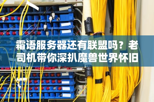 霜语服务器还有联盟吗？老司机带你深扒魔兽世界怀旧服现状！