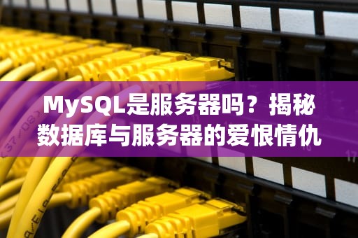 MySQL是服务器吗？揭秘数据库与服务器的爱恨情仇（附专业测评）