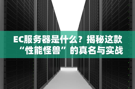 EC服务器是什么？揭秘这款“性能怪兽”的真名与实战表现！