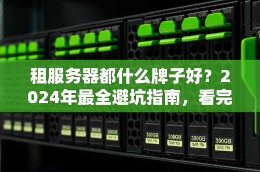租服务器都什么牌子好？2024年最全避坑指南，看完秒变老司机！