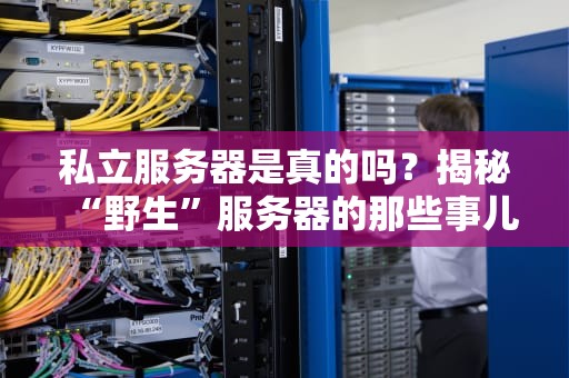 私立服务器是真的吗？揭秘“野生”服务器的那些事儿！