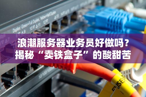 浪潮服务器业务员好做吗？揭秘“卖铁盒子”的酸甜苦辣！