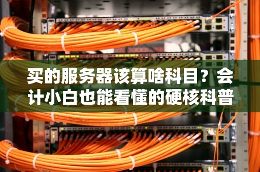 买的服务器该算啥科目？会计小白也能看懂的硬核科普！