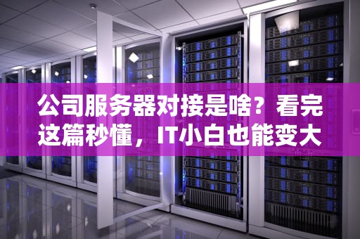公司服务器对接是啥？看完这篇秒懂，IT小白也能变大神！