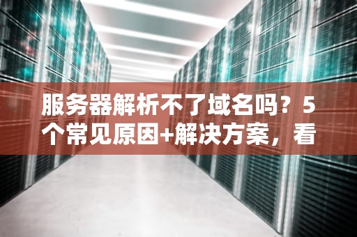 服务器解析不了域名吗？5个常见原因+解决方案，看完秒懂！