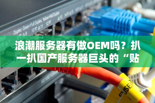 浪潮服务器有做OEM吗？扒一扒国产服务器巨头的“贴牌”生意经！
