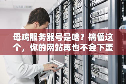 母鸡服务器号是啥？搞懂这个，你的网站再也不会下蛋慢了！