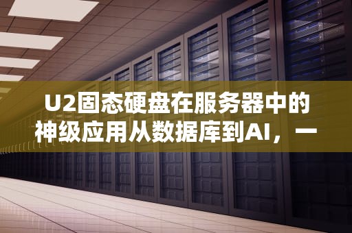 U2固态硬盘在服务器中的神级应用从数据库到AI，一文读懂它的“超能力”