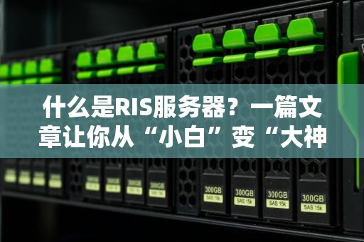 什么是RIS服务器？一篇文章让你从“小白”变“大神”！