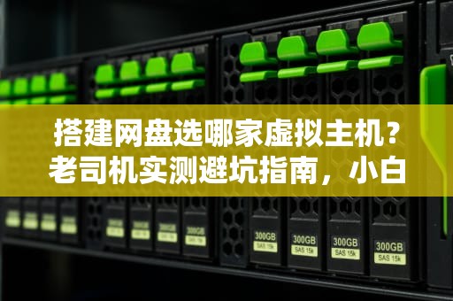 搭建网盘选哪家虚拟主机？老司机实测避坑指南，小白也能秒懂！