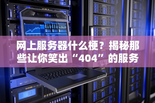 网上服务器什么梗？揭秘那些让你笑出“404”的服务器迷惑行为！