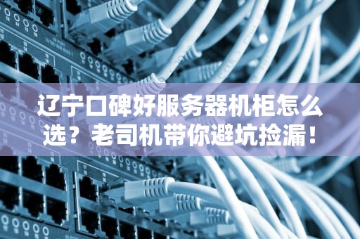 辽宁口碑好服务器机柜怎么选？老司机带你避坑捡漏！