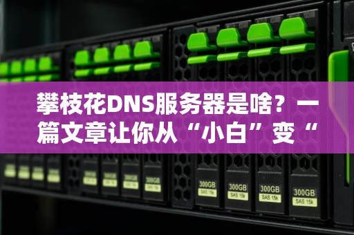 攀枝花DNS服务器是啥？一篇文章让你从“小白”变“老司机”！