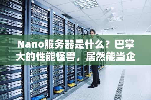 Nano服务器是什么？巴掌大的性能怪兽，居然能当企业级“扛把子”？