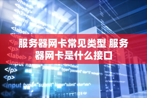 服务器网卡常见类型 服务器网卡是什么接口