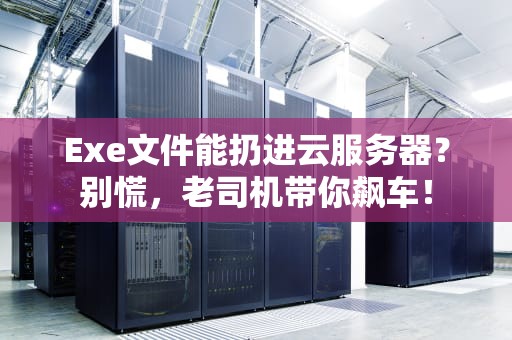 Exe文件能扔进云服务器？别慌，老司机带你飙车！