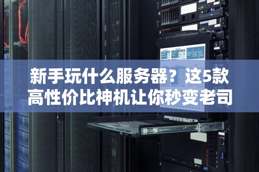 新手玩什么服务器？这5款高性价比神机让你秒变老司机！