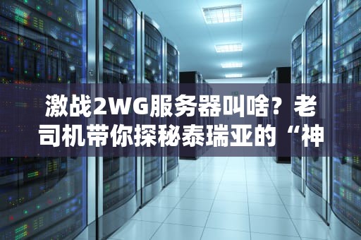 激战2WG服务器叫啥？老司机带你探秘泰瑞亚的“神秘组织”