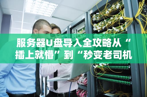 服务器U盘导入全攻略从“插上就懵”到“秒变老司机”